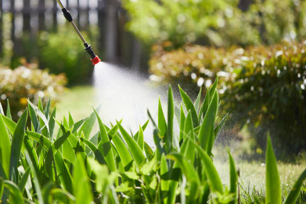 24/7 Emergency Mosquito Control experts in Shadow Lake, WA
